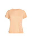Dámské merino triko s krátkým rukávem ICEBREAKER Wmns Core SS Tee Panax, Sunstone velikost: S
