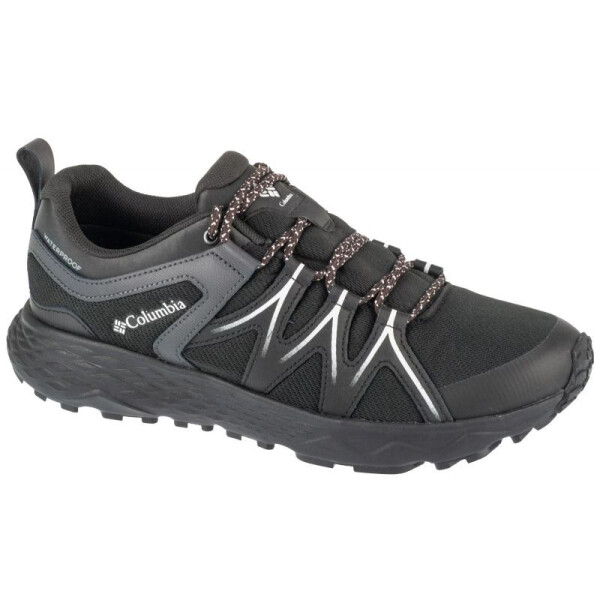 Boty Columbia Peakfreak Roam M WP 2108301010 45