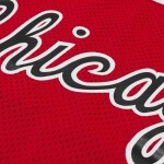 Mitchell & Ness Pánský dres Chicago Bulls NBA Michael Jordan #23 1984-85 Authentic - Červená Velikost: L