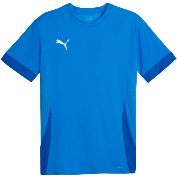 Puma teamGoal Matchday Jersey M 705747 02 pánské s