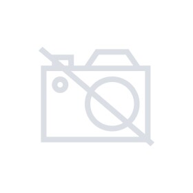 Festool L533x75 P60 RU/10 499156 brusný pás Zrnitost 60 (d x š) 533 mm x 75 mm 10 ks