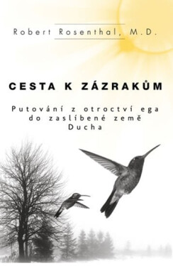 Cesta zázrakům