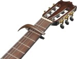 Ibanez ICGC10W
