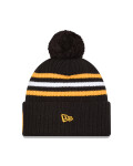 Pánská zimní čepice Pittsburgh Penguins NHL New Era Cold Winter