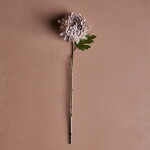 House Doctor Umělá květina Chrysanthemum Dusty Rose 60 cm, růžová barva, plast