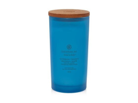 Vonná svíčka CHESAPEAKE BAY CANDLE Confidence & Freedom 355g