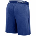 Nike Pánské kraťasy Kansas City Royals MLB 2024 Authentic Practice Dri-FIT Shorts Velikost: S