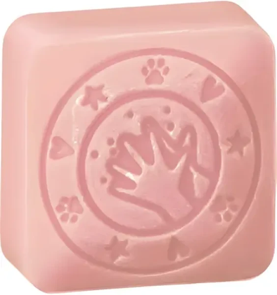 COLOP Razítko little NIO Cleany Stamp Leo