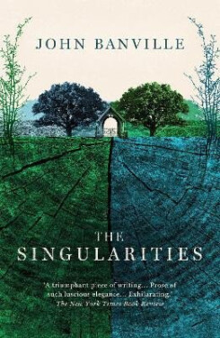 The Singularities John Banville