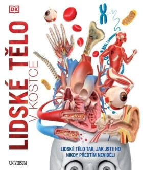 Lidské tělo v kostce - kolektiv autorů