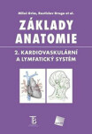 Základy anatomie Kardiovaskulární lymfatický systém Miloš Grim