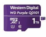 MicroSD 1000 GB QD101