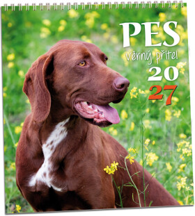 Nástěnný kalendář 2027 Aria Pes - věrný přítel