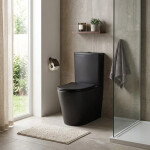 WC kombi komplet SAT Brevis včetně prkénka softclose, vario odpad černý SATBRE031RREXVPBKM SATBRE031RREXVPBKM