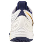 Volejbalová obuv Mizuno Wave Momentum 3 MID M V1GA231743 46,5
