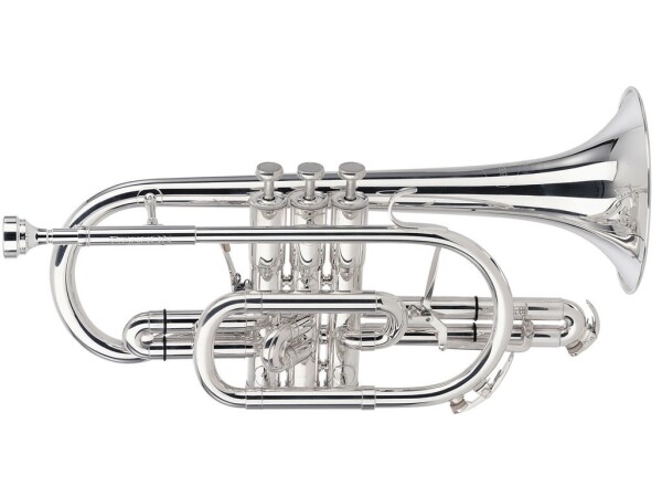 Besson BE928G-2