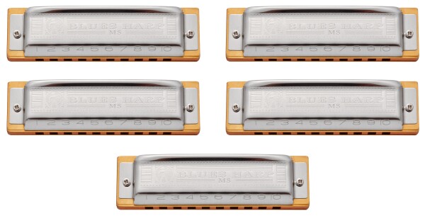 Hohner Blues Harp Booster Kit Bundle
