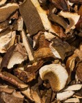 Vilgain Sušené houby – Hřib dubový 50 g