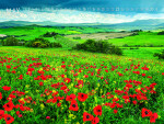 Nástěnný kalendář 2027 Graspo Nature