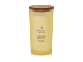 Vonná svíčka CHESAPEAKE BAY CANDLE Strength & Energy 355g