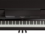 Roland LX-6 DR