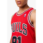 Mitchell & Ness Chicago Bulls NBA Dennis Rodman M tričko SMJYGS18154-CBUSCAR97DRD pánské M