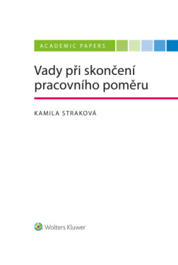 Vady při skončení pracovního poměru - Kamila Straková - e-kniha