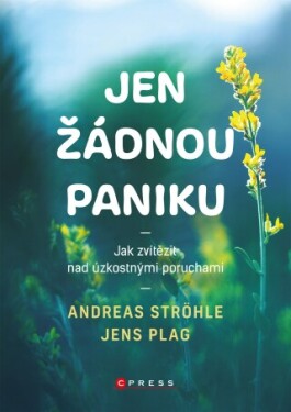 Jen žádnou paniku - Andreas Ströhle, Jens Plag - e-kniha