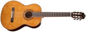 Tanglewood EM D3