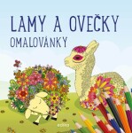 Lamy ovečky omalovánky kolektiv