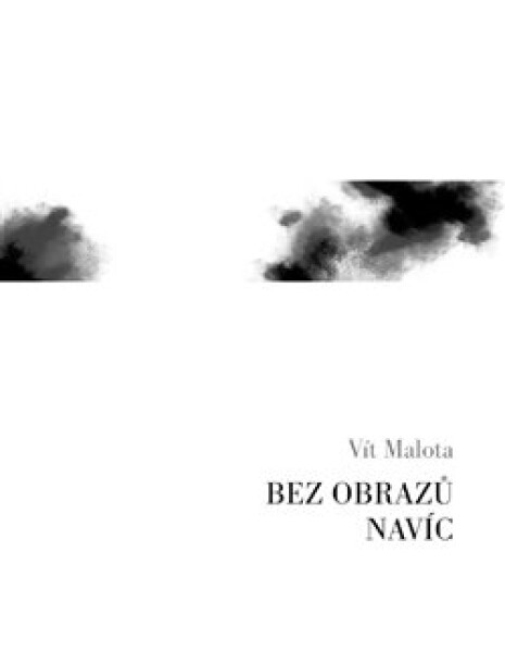 Bez obrazů navíc - Vít Malota