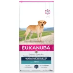 Eukanuba Labrador Retriever 12kg / granule pro psy / pro Labradorské retrívry (1743-380192)