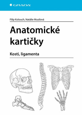 Anatomické kartičky - Kolouch Filip, Musilová Natálie