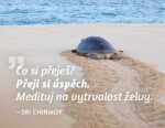 Magnet na lednici - Co si přeješ? Přeji si úspěch. Medituj na vytrvalost želvy. - Sri Chinmoy