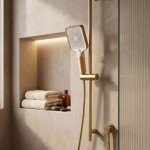 REA - Sprchová hlavice JS-031 BRUSH GOLD REA-03905