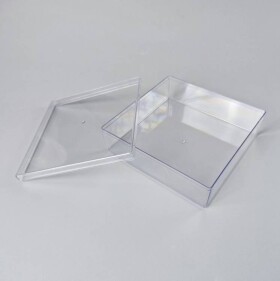 Cake Star Cake Star Plastová krabička s víčkem (18,5 x 18,5 x 6 cm)