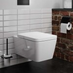 HANSGROHE - EluPura Q Závěsné WC se sedátkem SoftClose, Rimless, AquaChannel Flush, bílá 60293450