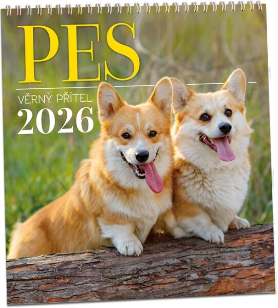 Nástěnný kalendář ARIA 2026 - Pes - věrný přítel