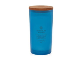 Vonná svíčka CHESAPEAKE BAY CANDLE Confidence & Freedom 355g