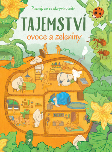 Tajemství ovoce zeleniny