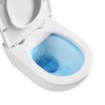 Mereo WC závěsné kapotované, RIMLESS, 490x370x360, keramické, vč. sedátka CSS126 VSD82S2