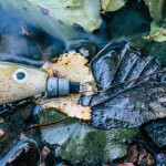 Zeck Šroubovací systém Softbait Screw Set,Zeck Šroubovací systém Softbait Screw Set