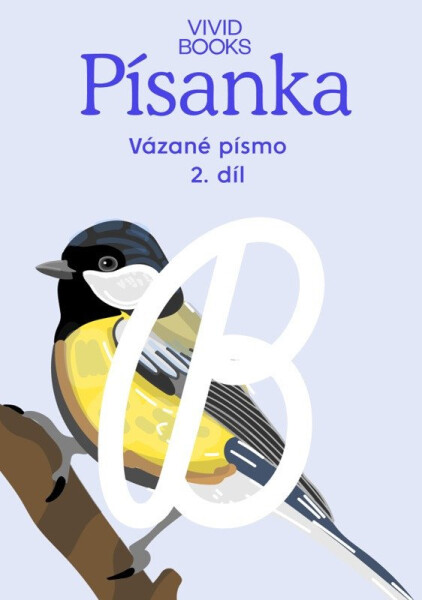 Český jazyk - Písanka pro vázané písmo / 2.díl - Anna Rosová