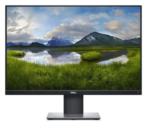24.1" DELL P2421 černá / Monitor / IPS / WUXGA / 16:10 / HDMI+DP (P2421)