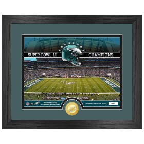 Obraz Philadelphia Eagles NFL Team Stadium Bronze Coin