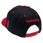 Mitchell & Ness Pánská kšiltovka Toronto Raptors NBA Team Arch Classic Red Stretch-Snap
