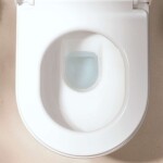 HANSGROHE - EluPura S Závěsné WC se sedátkem SoftClose, Rimless, AquaHelix Flush, HygieneEffect, EcoSmart, bílá 62055450