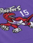 Mitchell & Ness Pánská mikina Toronto Raptors NBA Vince Carter Player Photo Hoodie Velikost: L