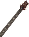 PRS DGT Birds Dark Cherry Sunburst