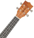 Tanglewood TWT 5